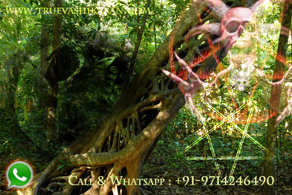 Witchcraft vashikaran specialist